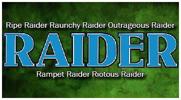 Raider